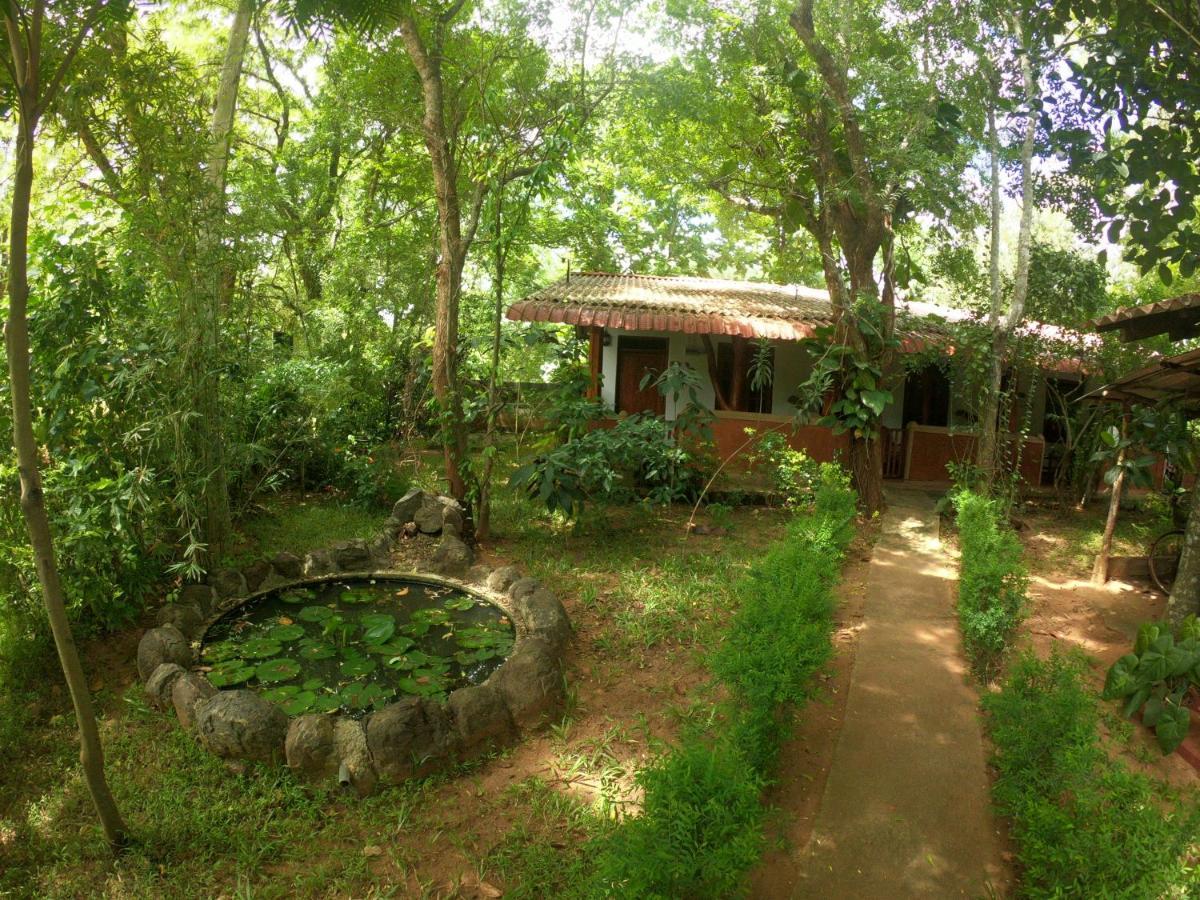 New Sisira Natural Lodge Sigiriya Dış mekan fotoğraf